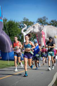 BIB: 
                            <button type="button" onclick="openModal(26543058)" class="btn btn-primary btn-sm float-right btn-popup" data-toggle="modal" data-target=".modal-high-quality">
                        <i class="fas fa-shopping-cart"></i> Add to Cart
                    </button>
                                            <button type="button" onclick="isThisMe(26543058, true)" class="btn btn-success btn-sm float-right btn-popup btn-isme hidden" data-toggle="tooltip" data-placement="bottom" title="นี่คือรูปของคุณใช่ไหม คลิกที่นี่เพื่อเอาเข้าอัลบั้ม">
                        <i class="fas fa-plus"></i> Add to album
                    </button>
                    <button type="button" onclick="isThisMe(26543058, false)" class="btn btn-warning btn-sm float-right btn-popup btn-isnotme hidden">
                        <i class="fas fa-ban"></i> Remove from album
                    </button>